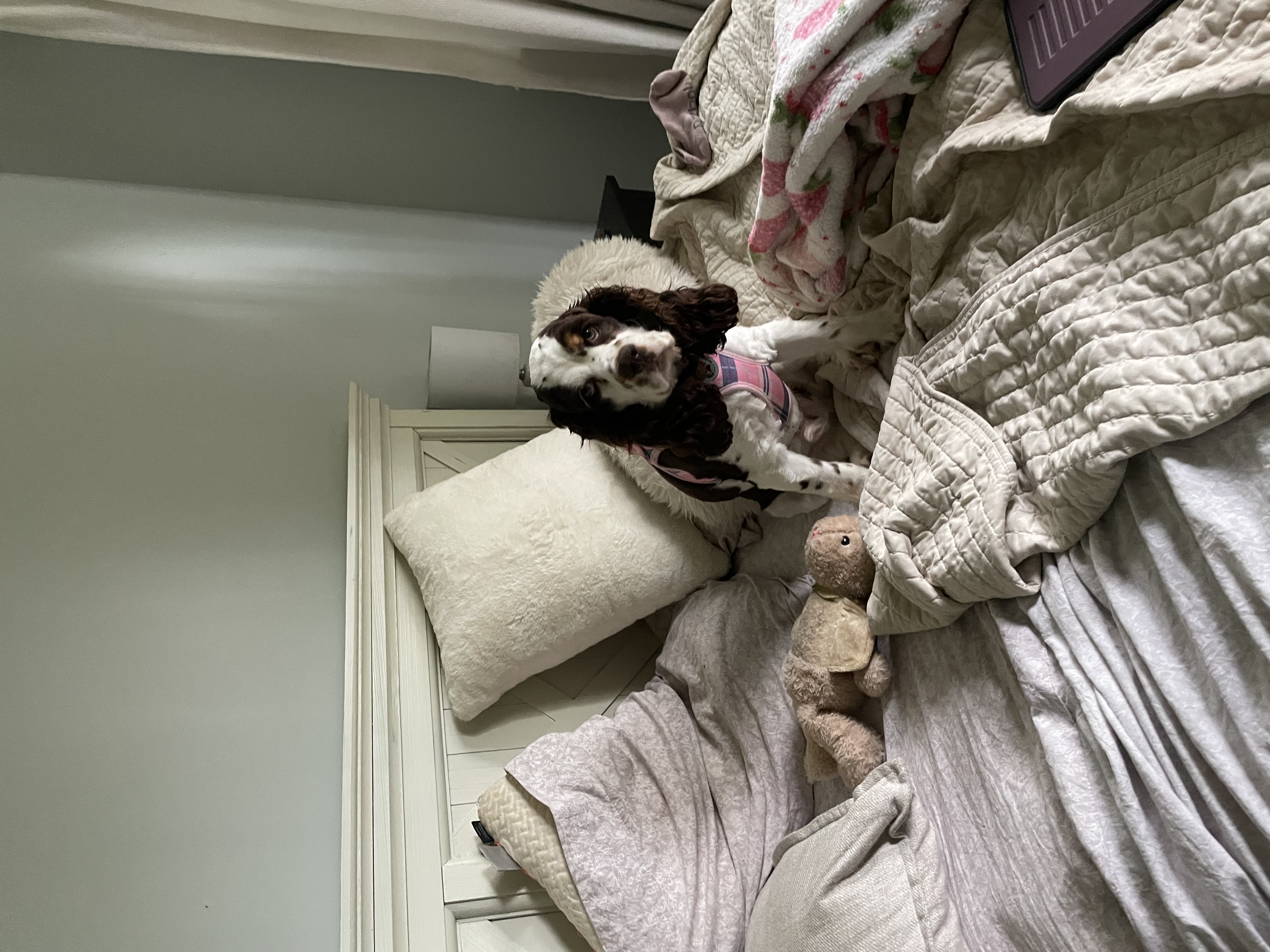 Photo Review Submission from Sara Slack