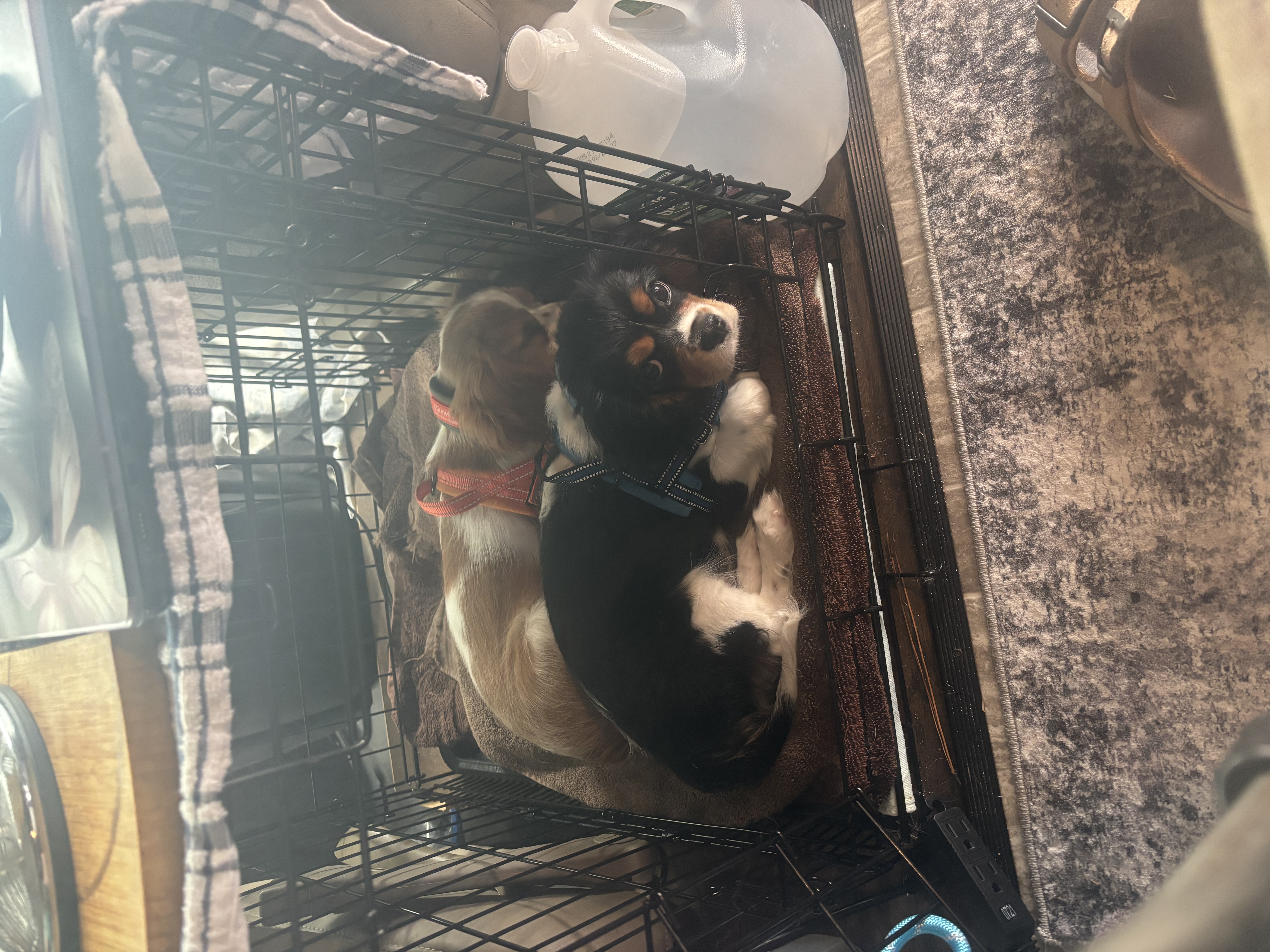 Photo Review Submission from Claire Lowrey