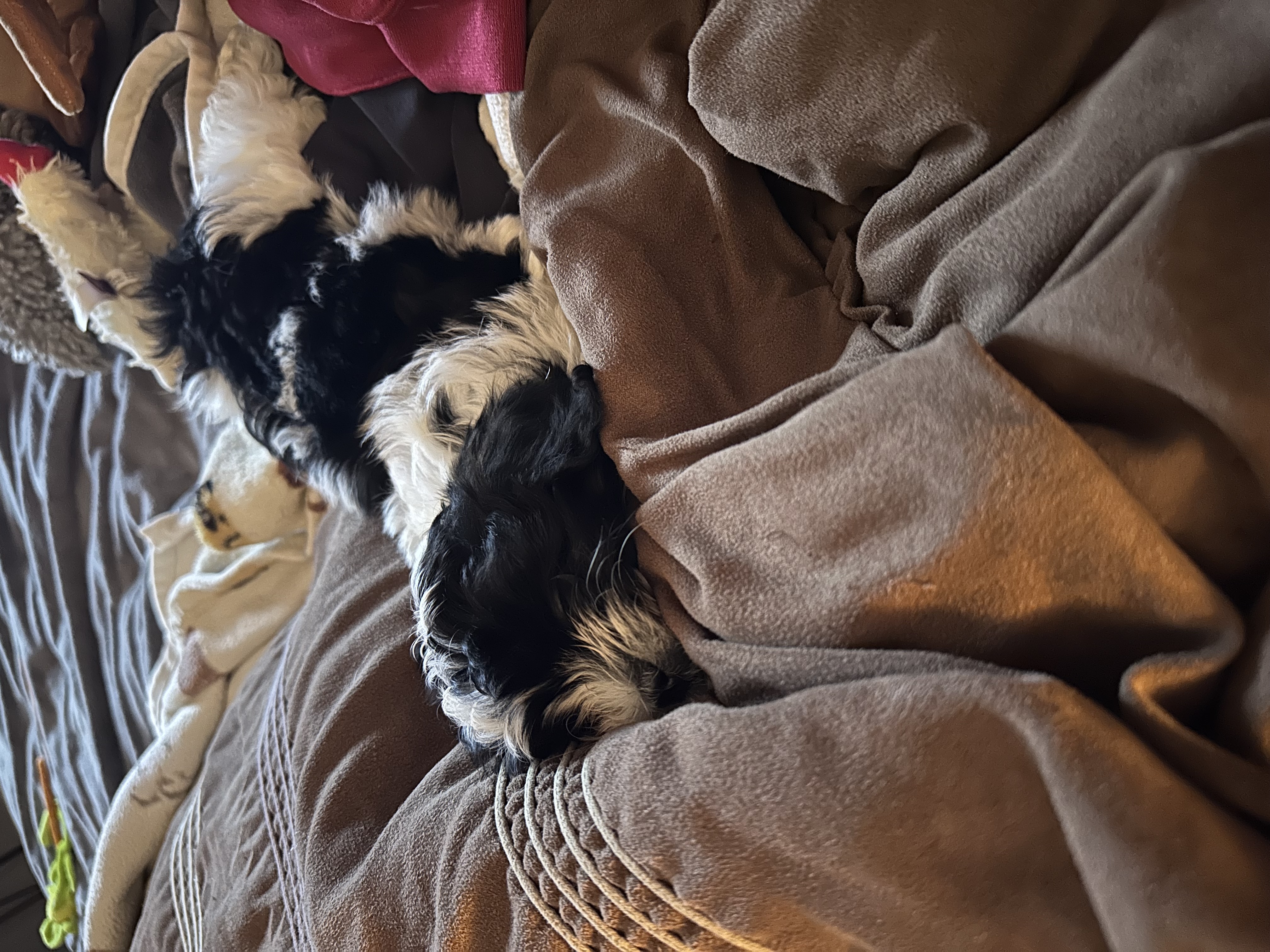 Photo Review Submission from Karen K