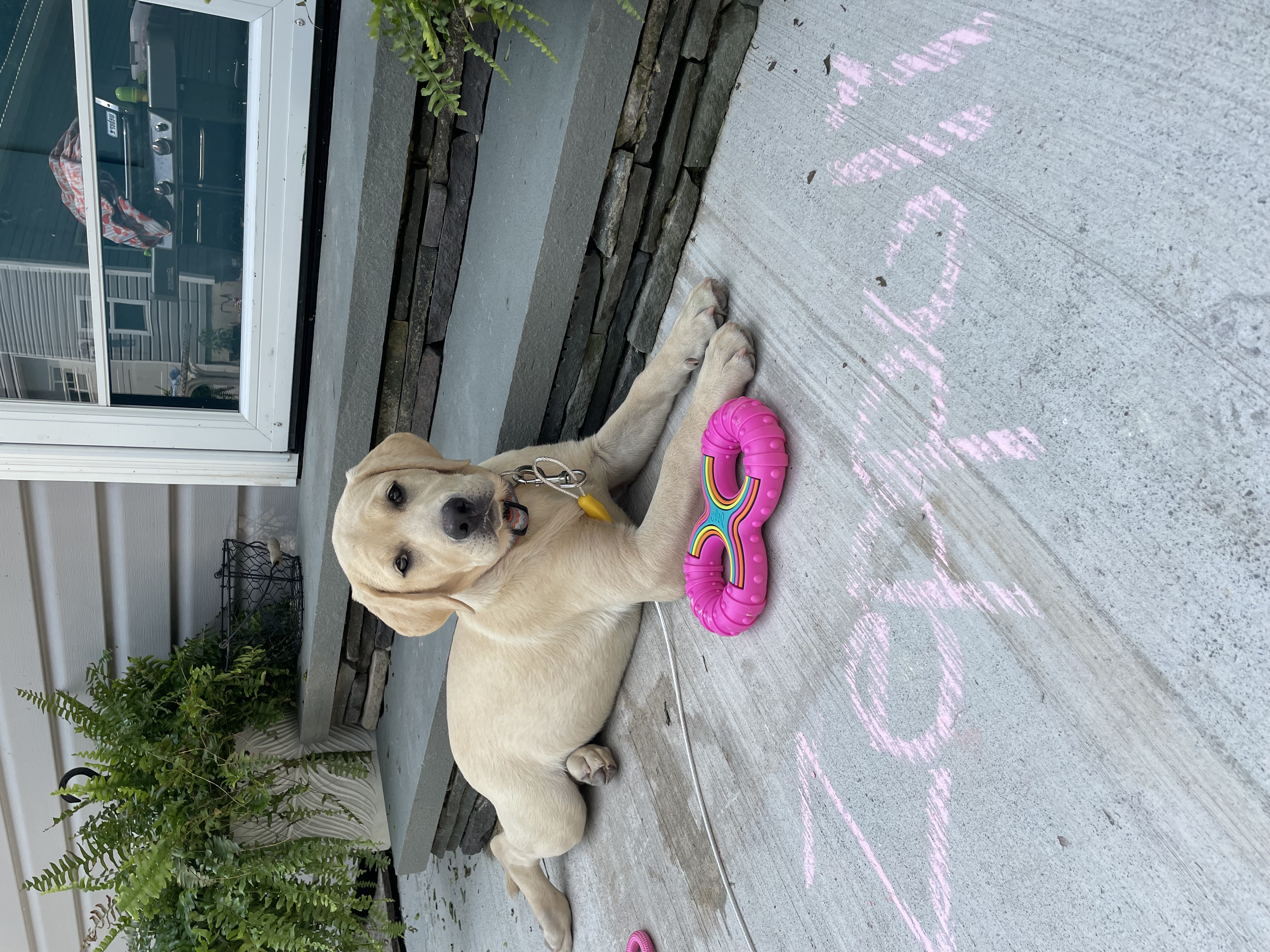 Photo Review Submission from Adriana Orthouse