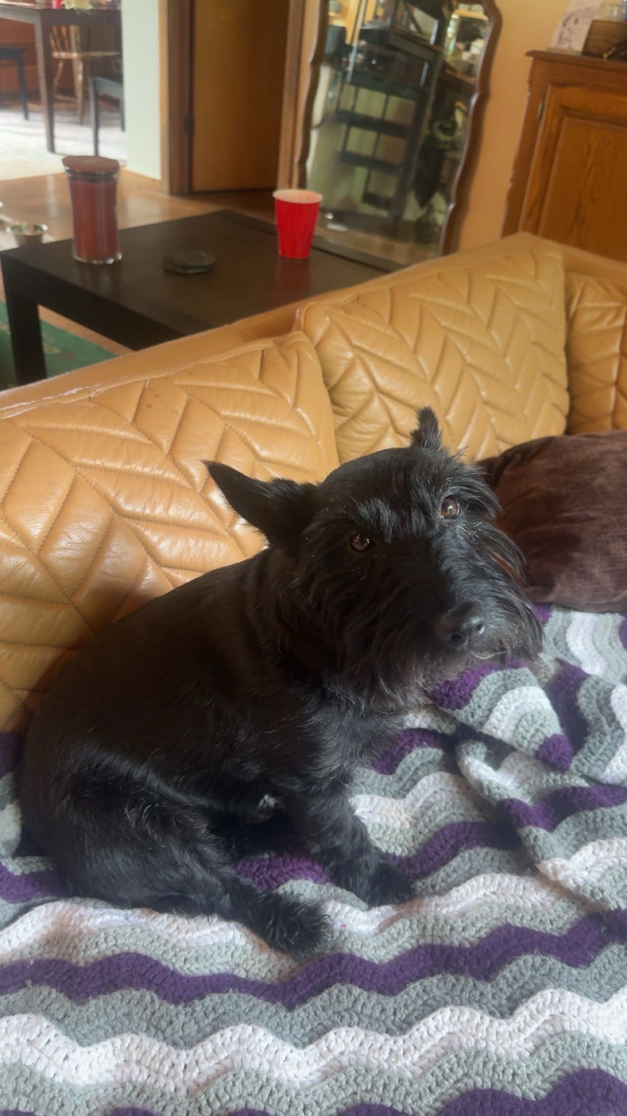 Photo Review Submission from Alison Yarnall