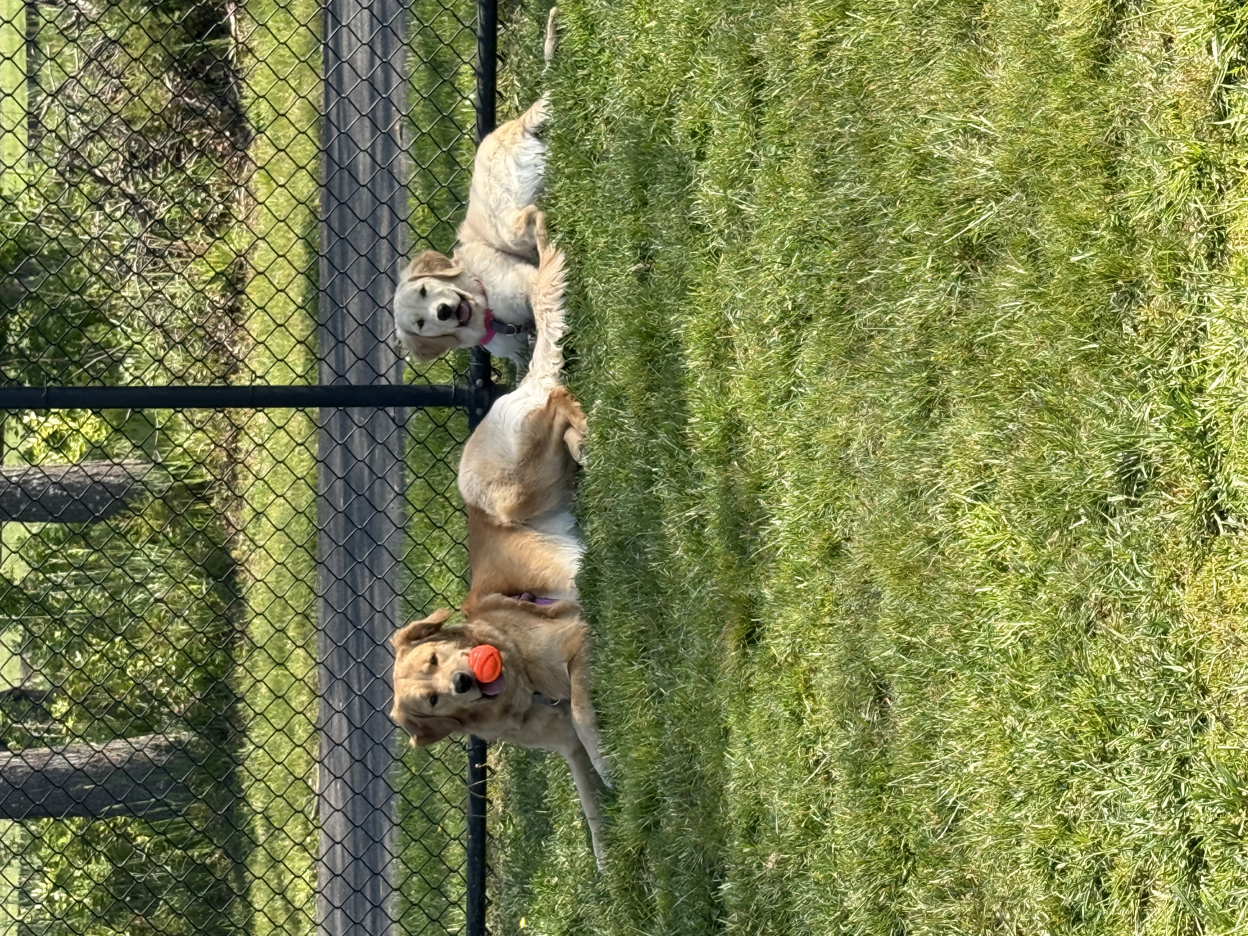 Photo Review Submission from Jessica Mullaley