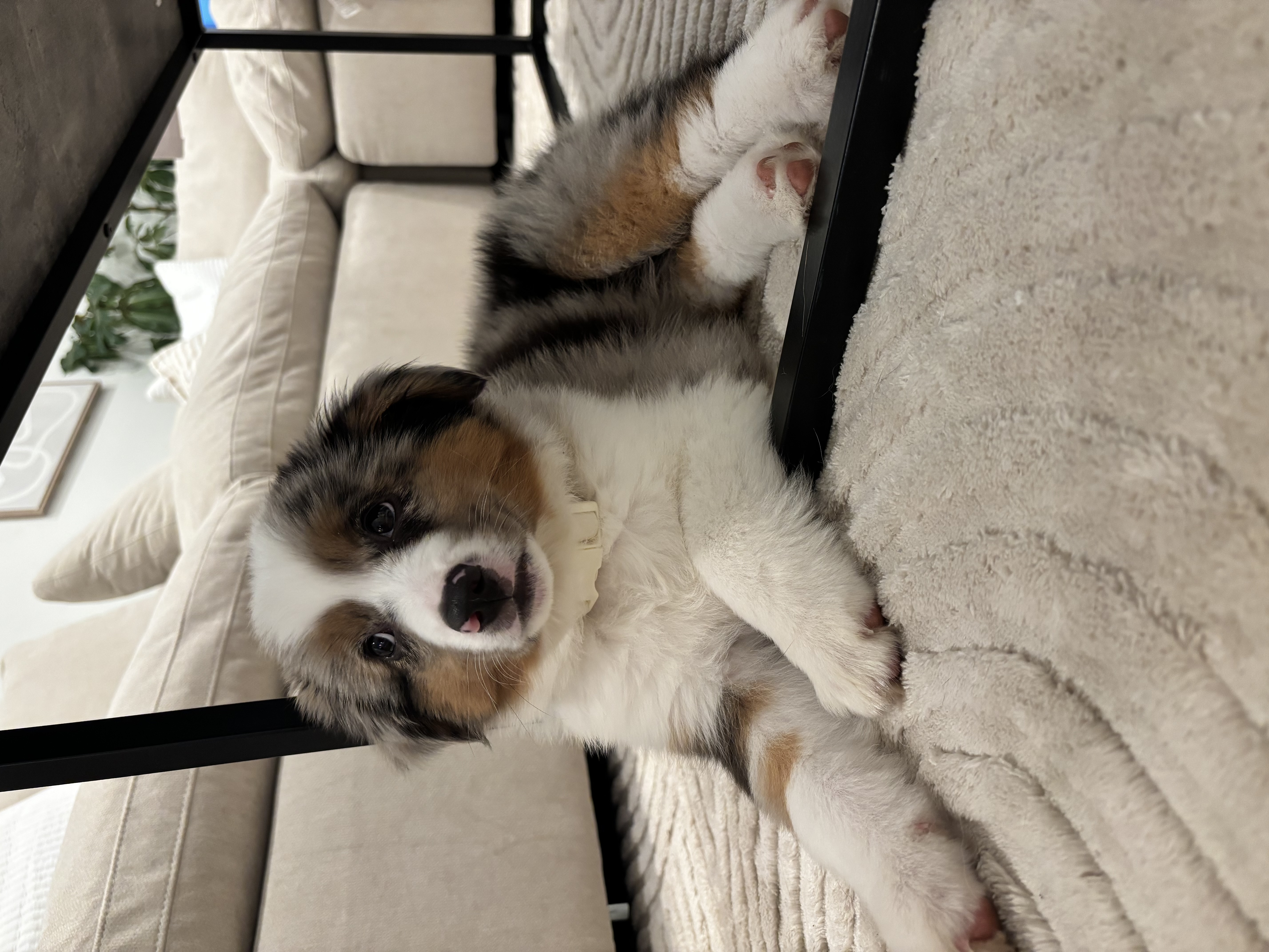 Photo Review Submission from Keylyn Solis