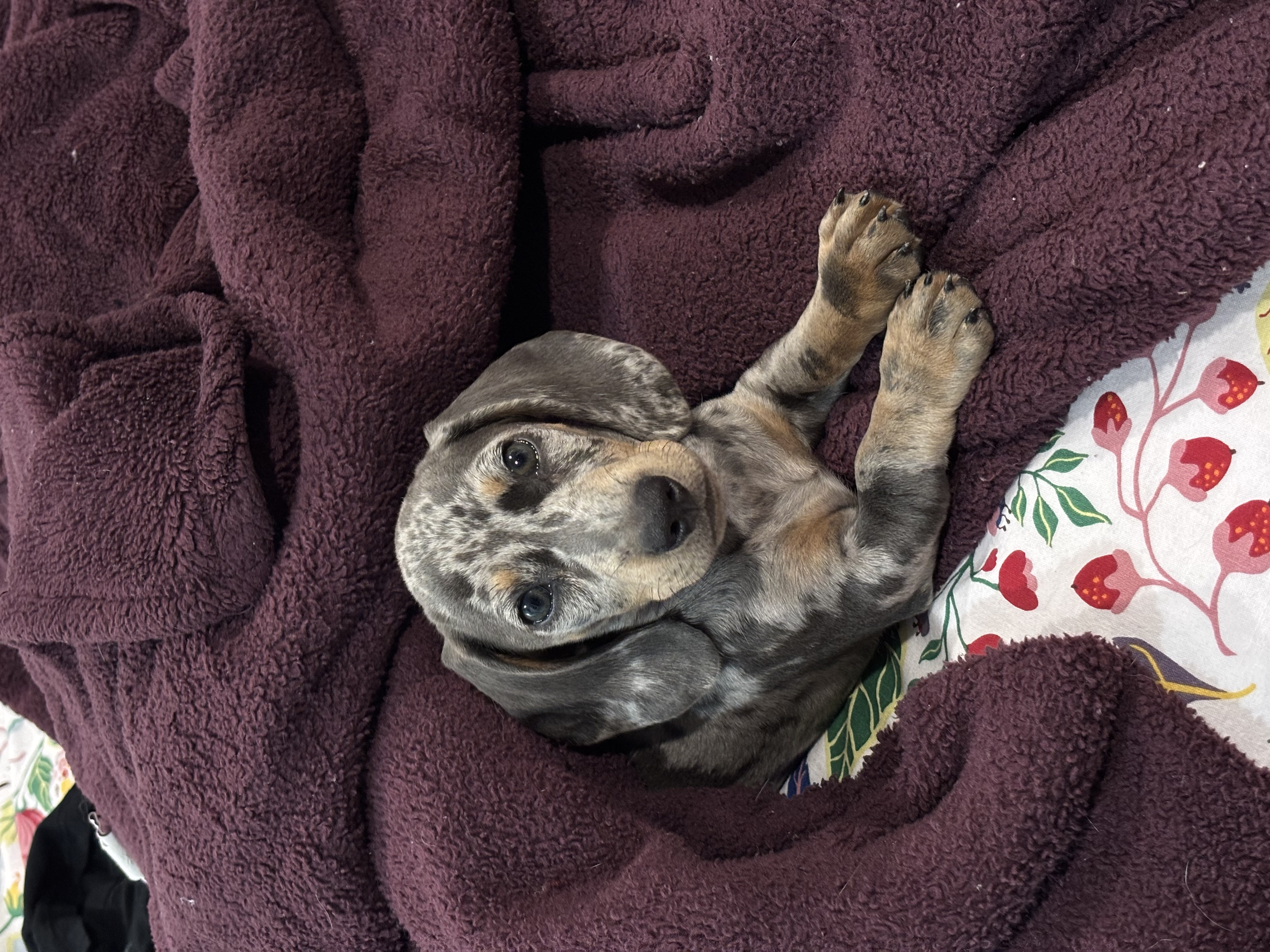 Photo Review Submission from Erin Gilday