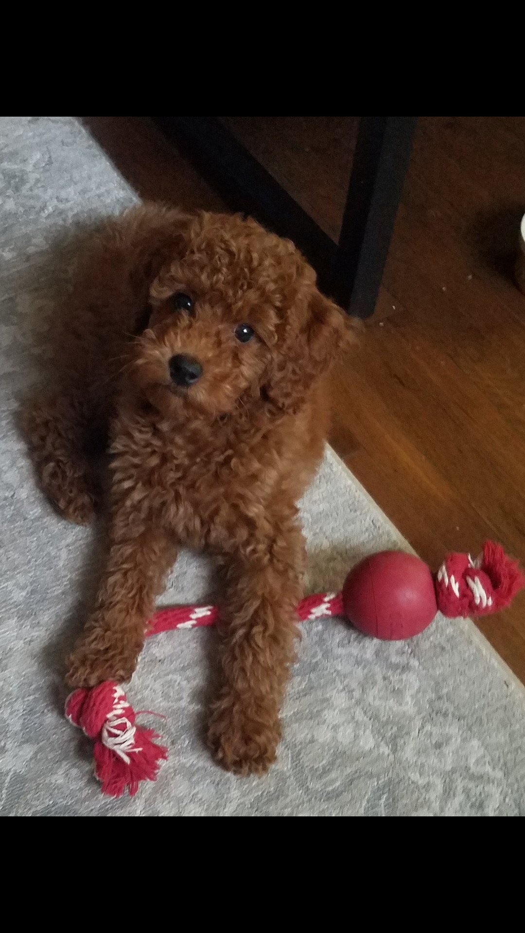 Photo Review Submission from Kristy S.