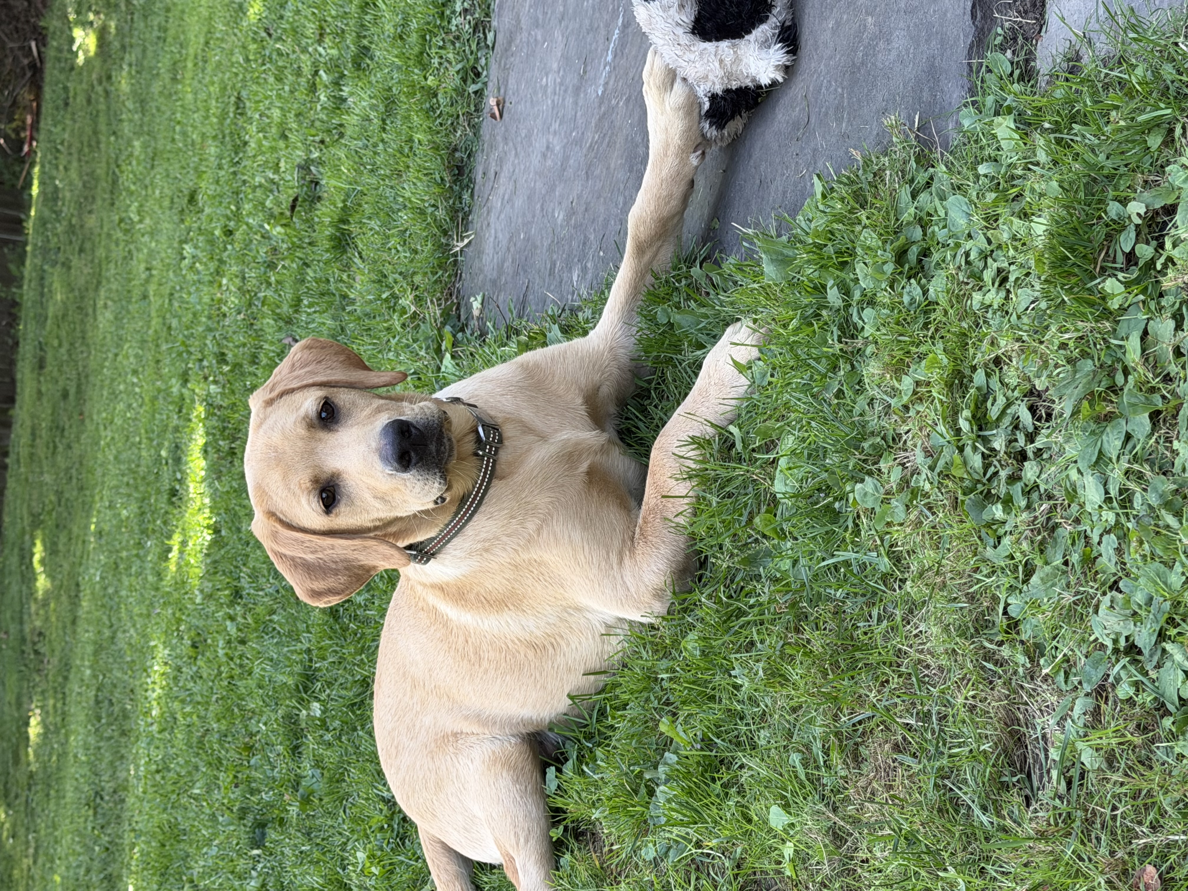 Photo Review Submission from Brie Button