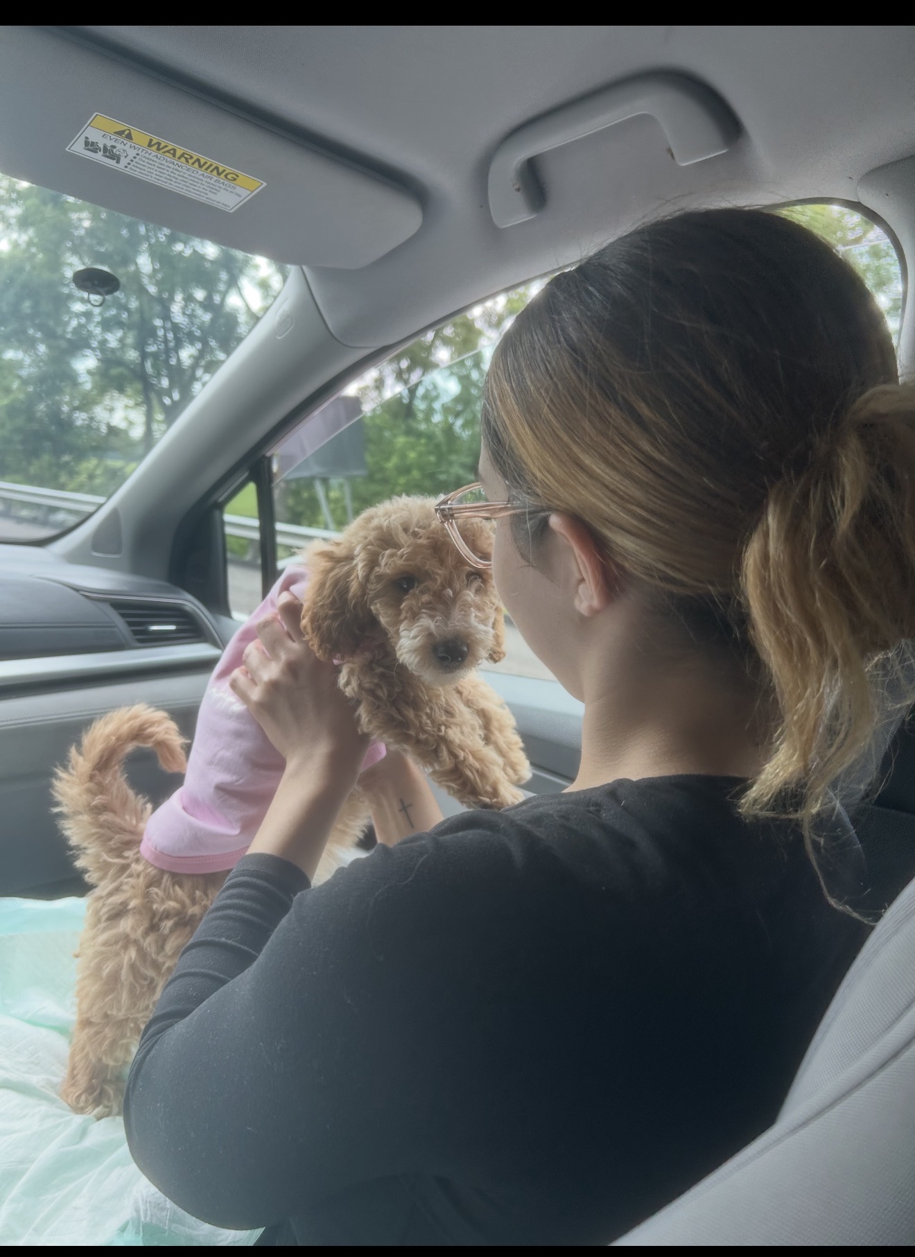 Photo Review Submission from Katelyn Torres