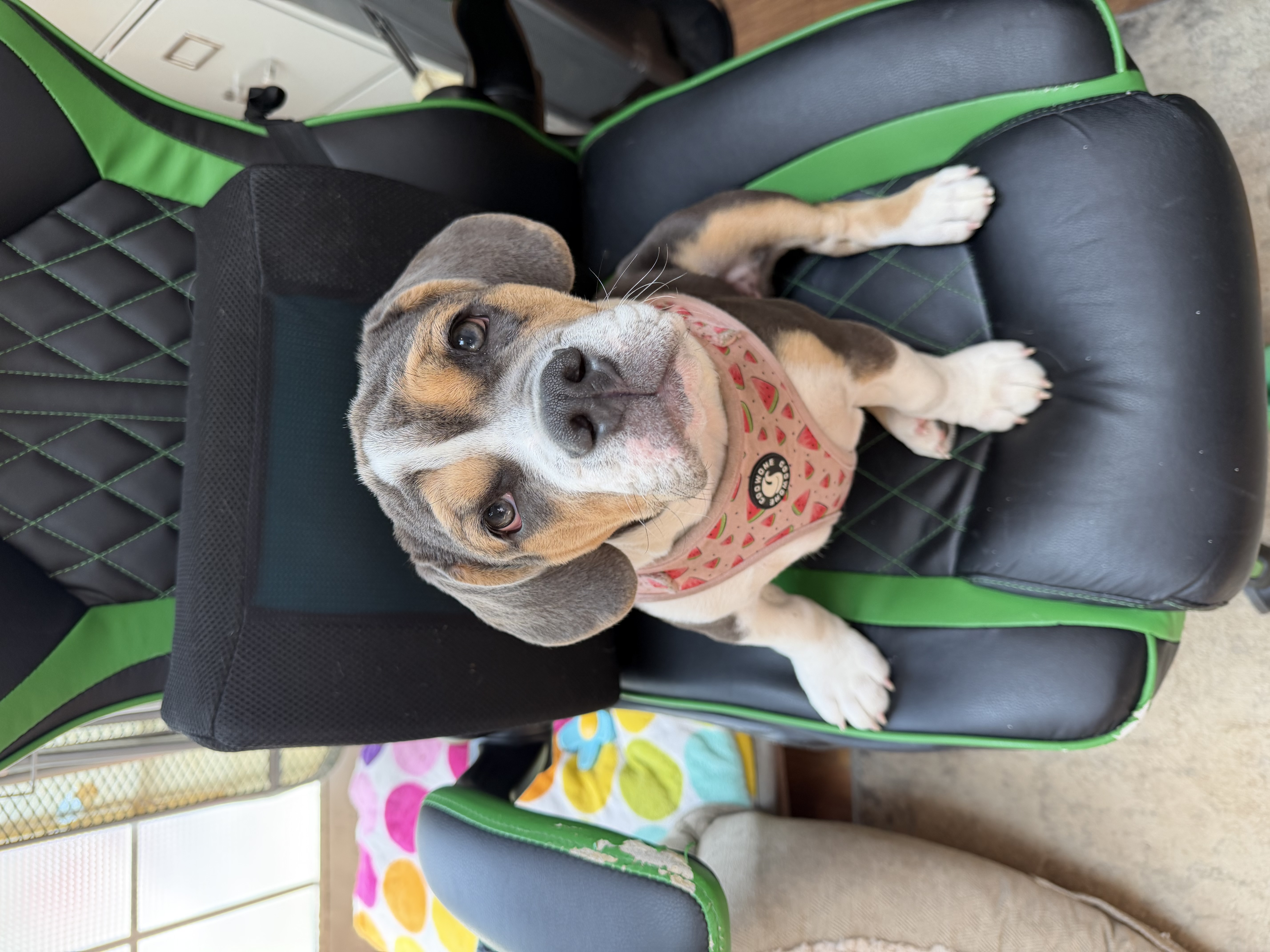 Photo Review Submission from Mikki C