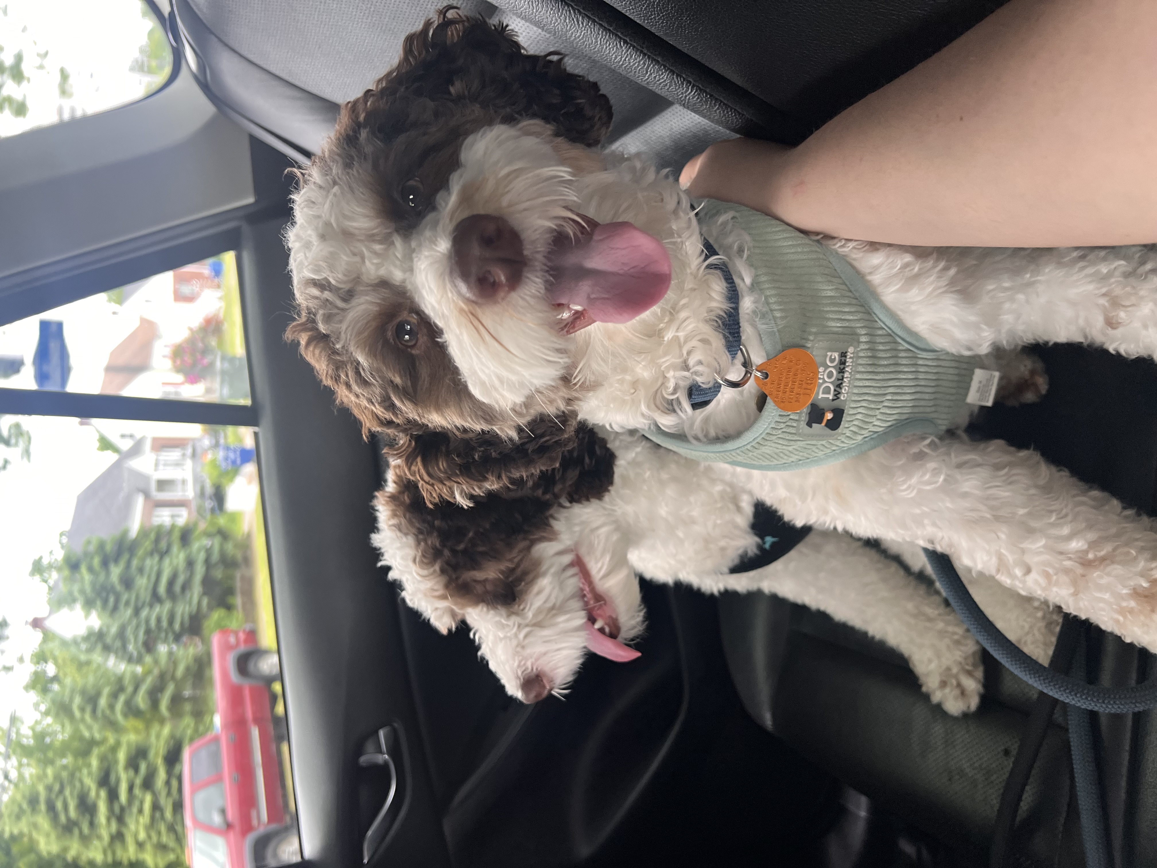 Photo Review Submission from Ash E