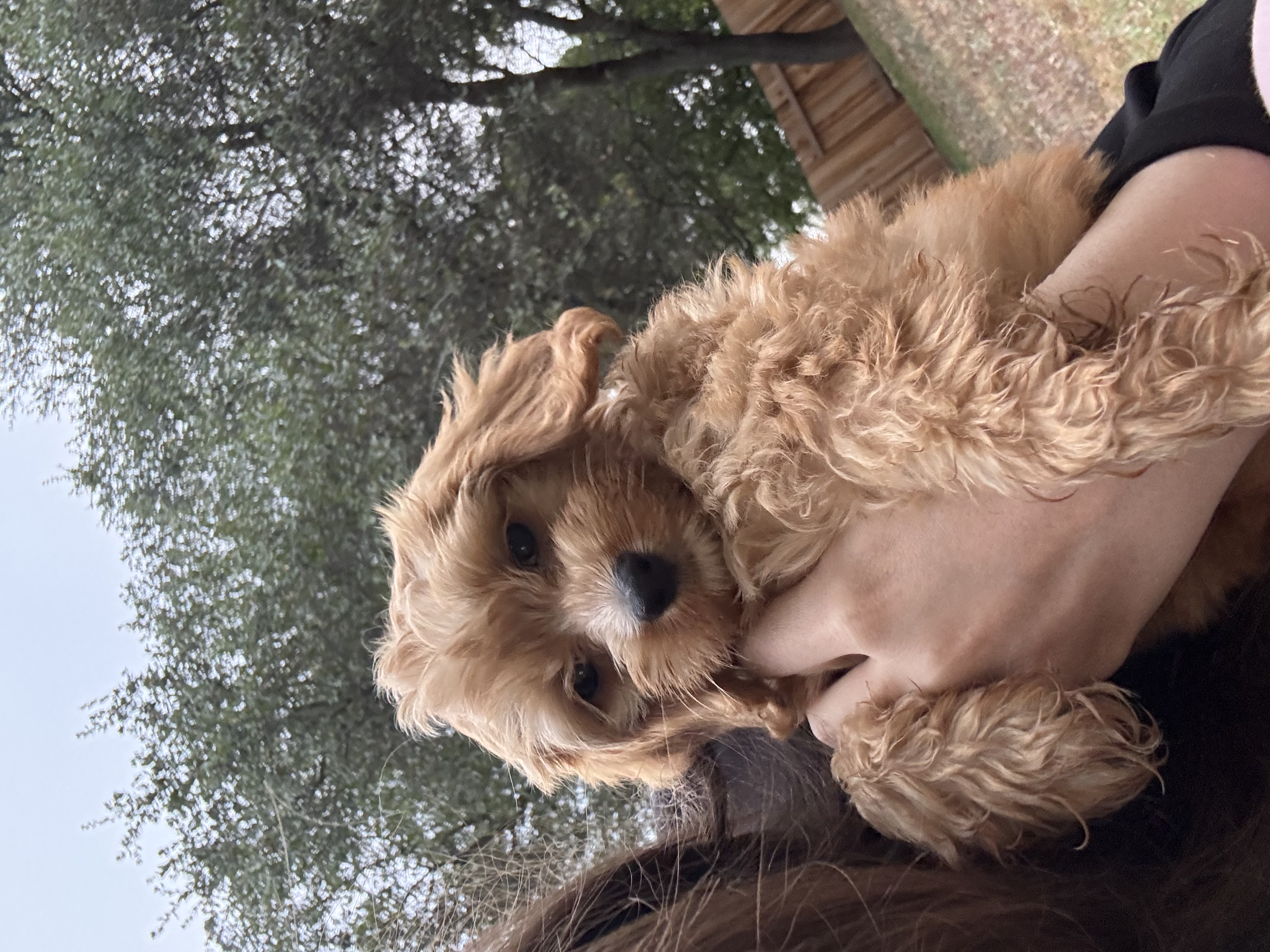 Photo Review Submission from Gabby A
