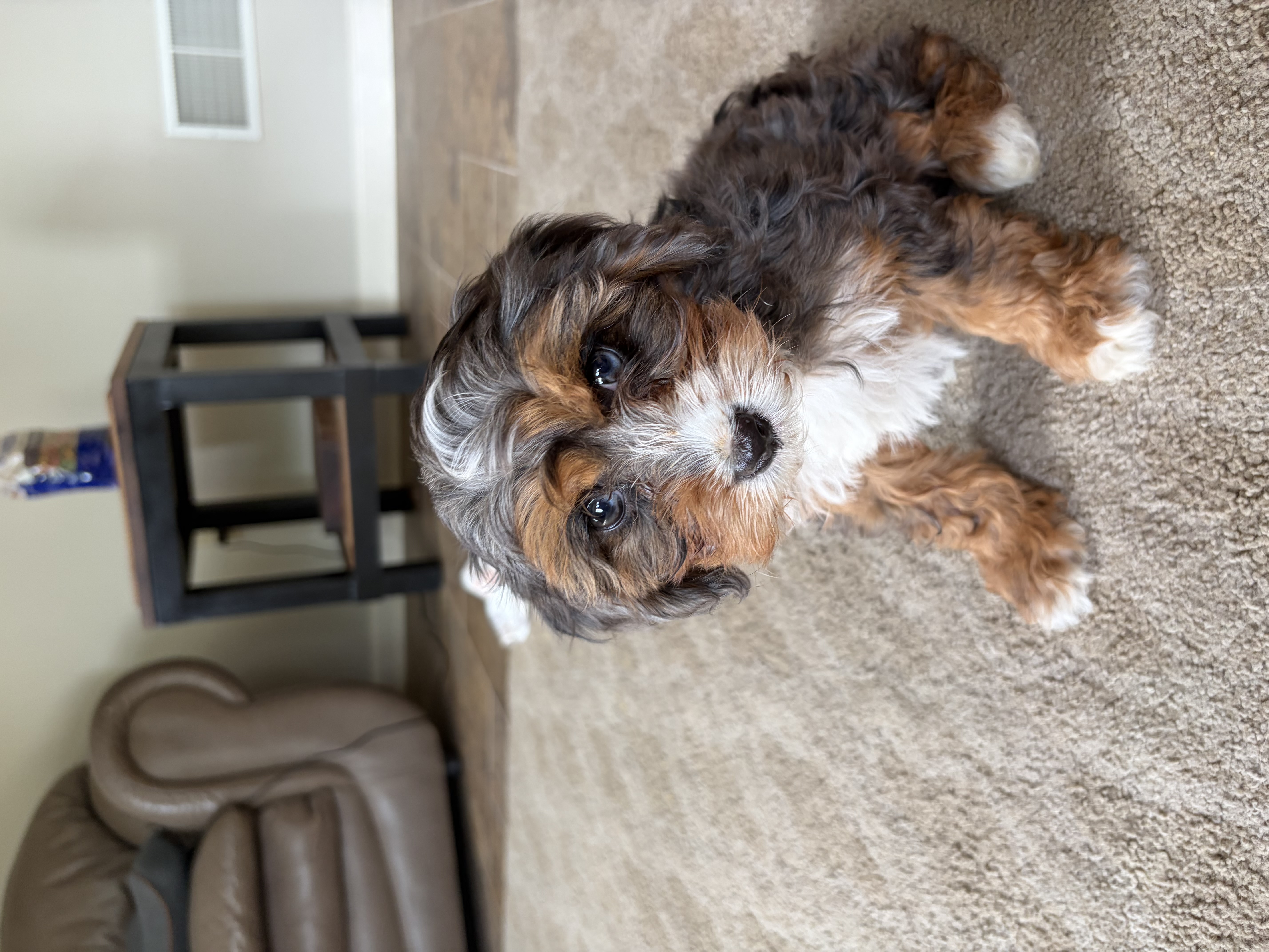 Photo Review Submission from Jackie Breneman