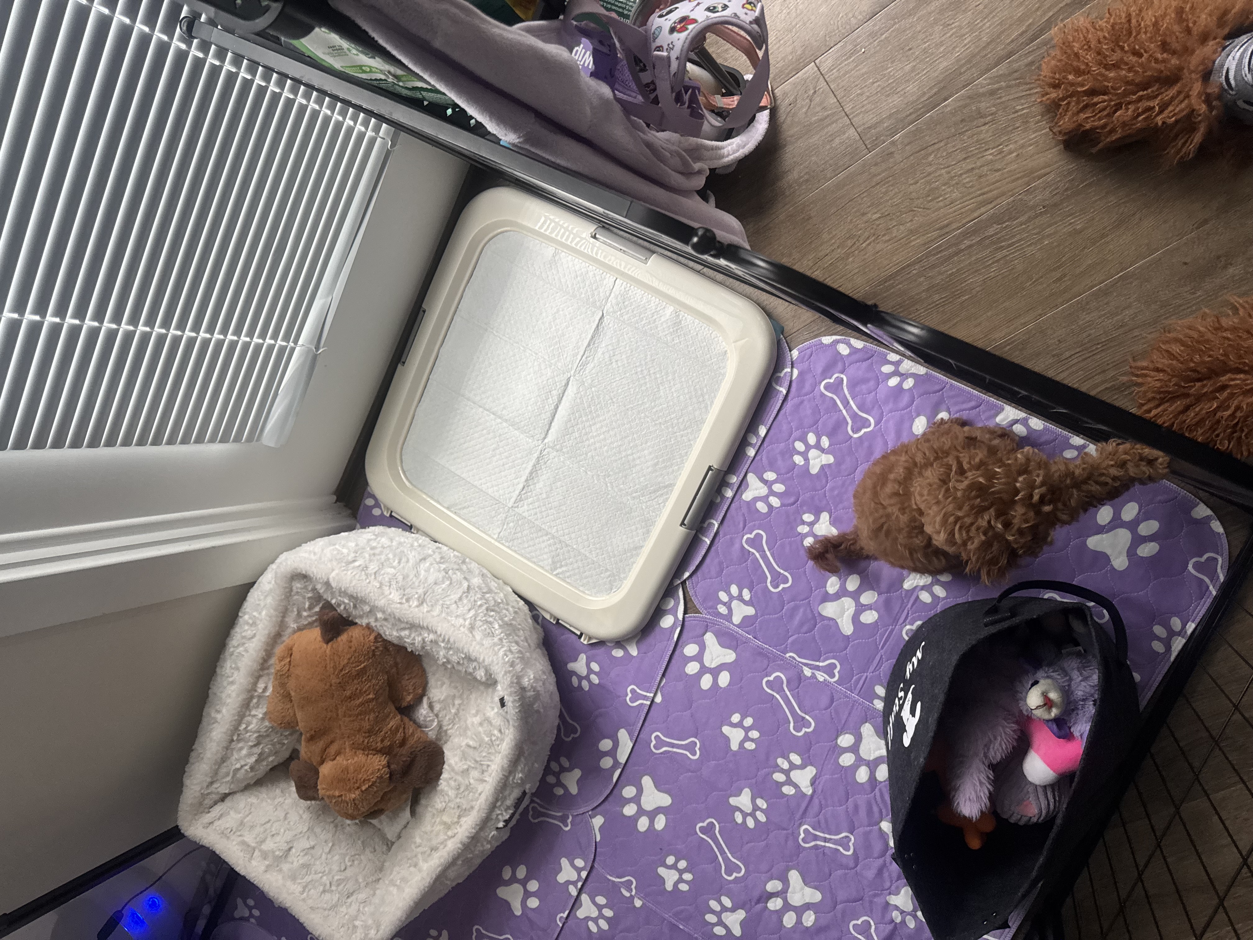 Photo Review Submission from Sharlonte Roane