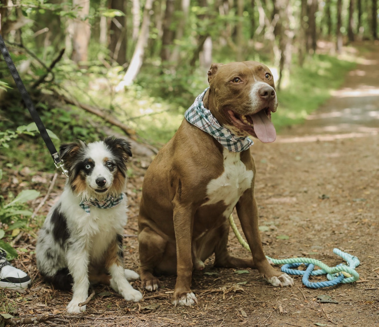 Photo Review Submission from katie boone