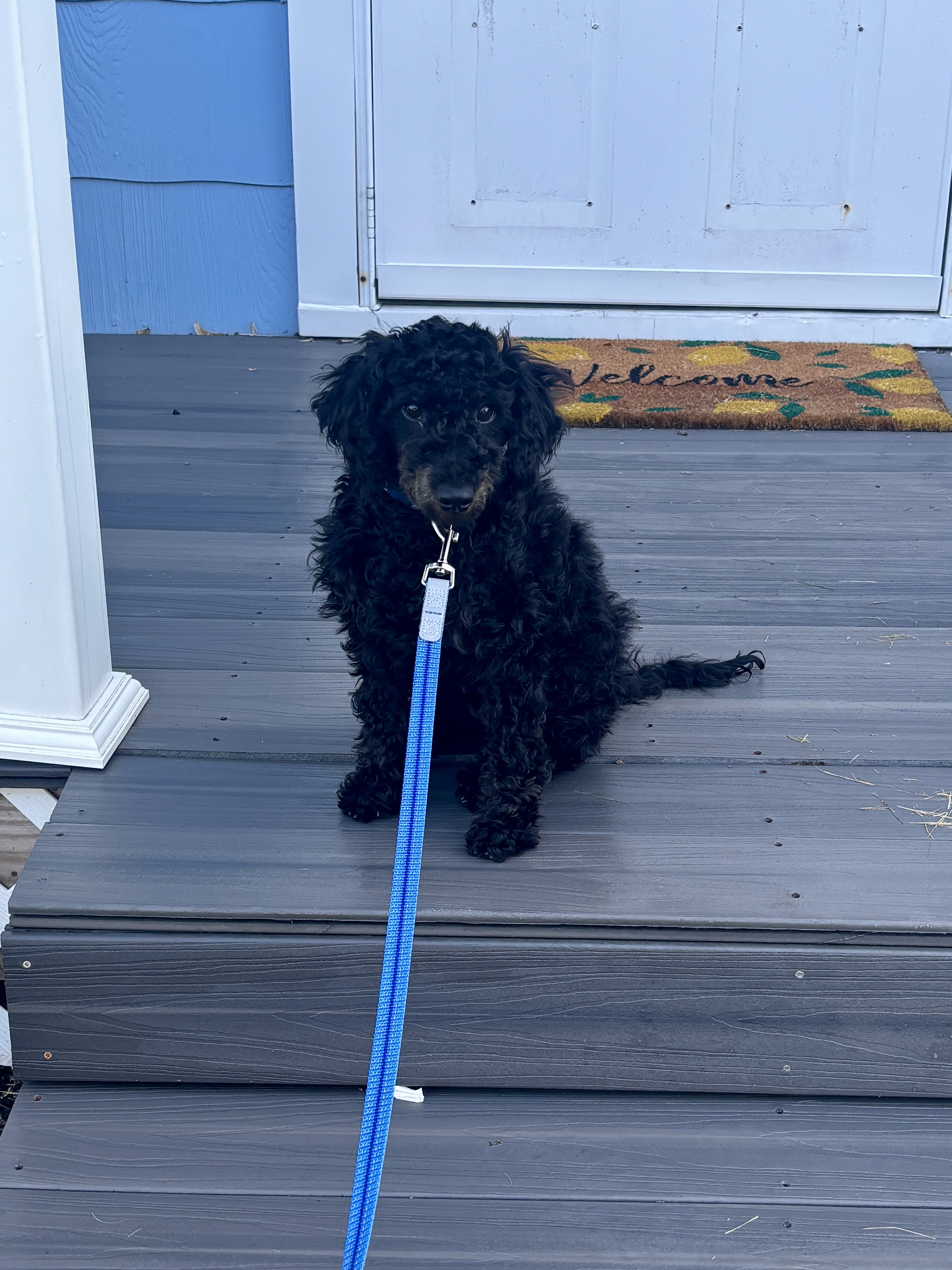 Photo Review Submission from Mary Ellen Wade