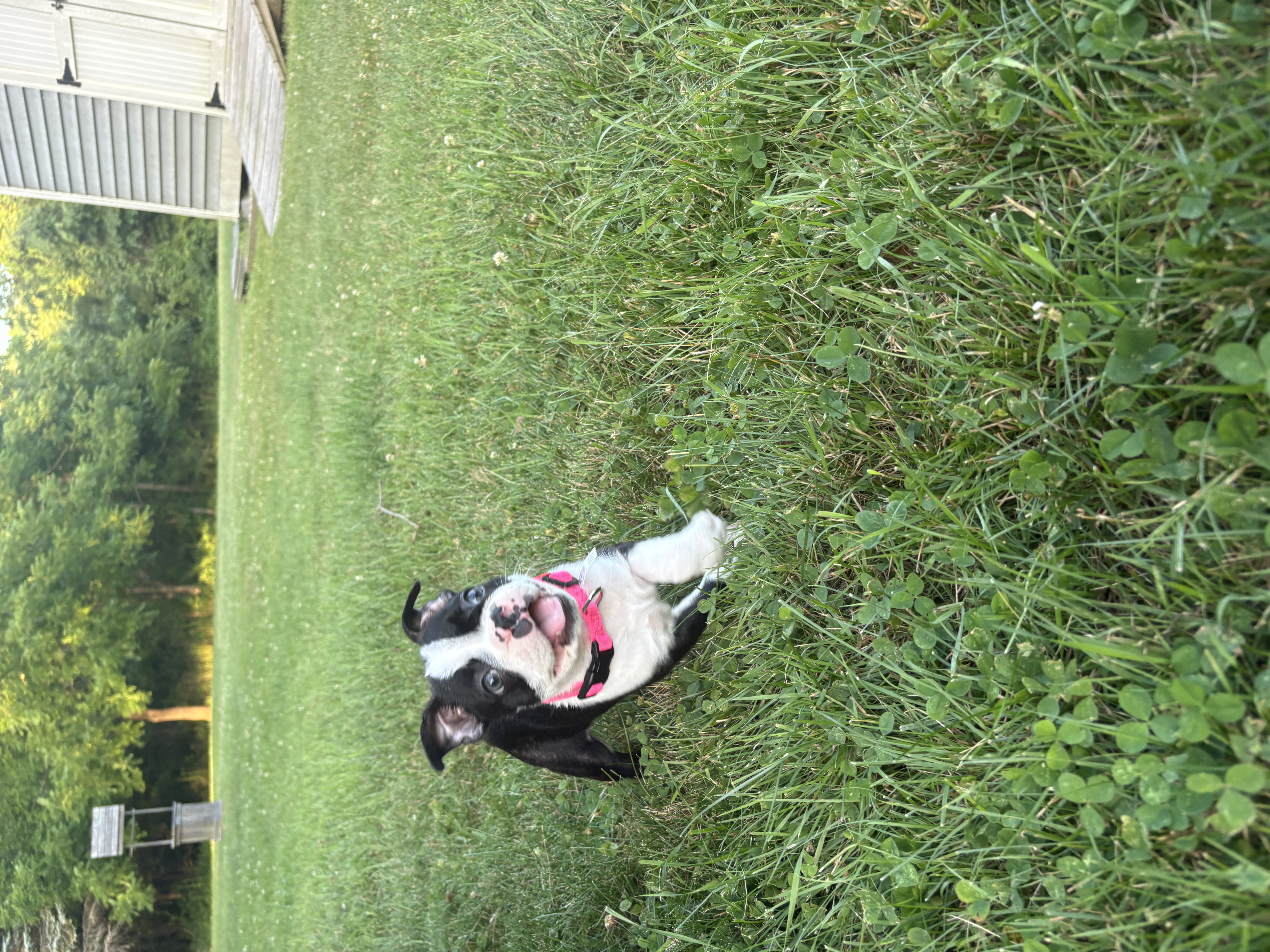 Photo Review Submission from Stephanie Parker