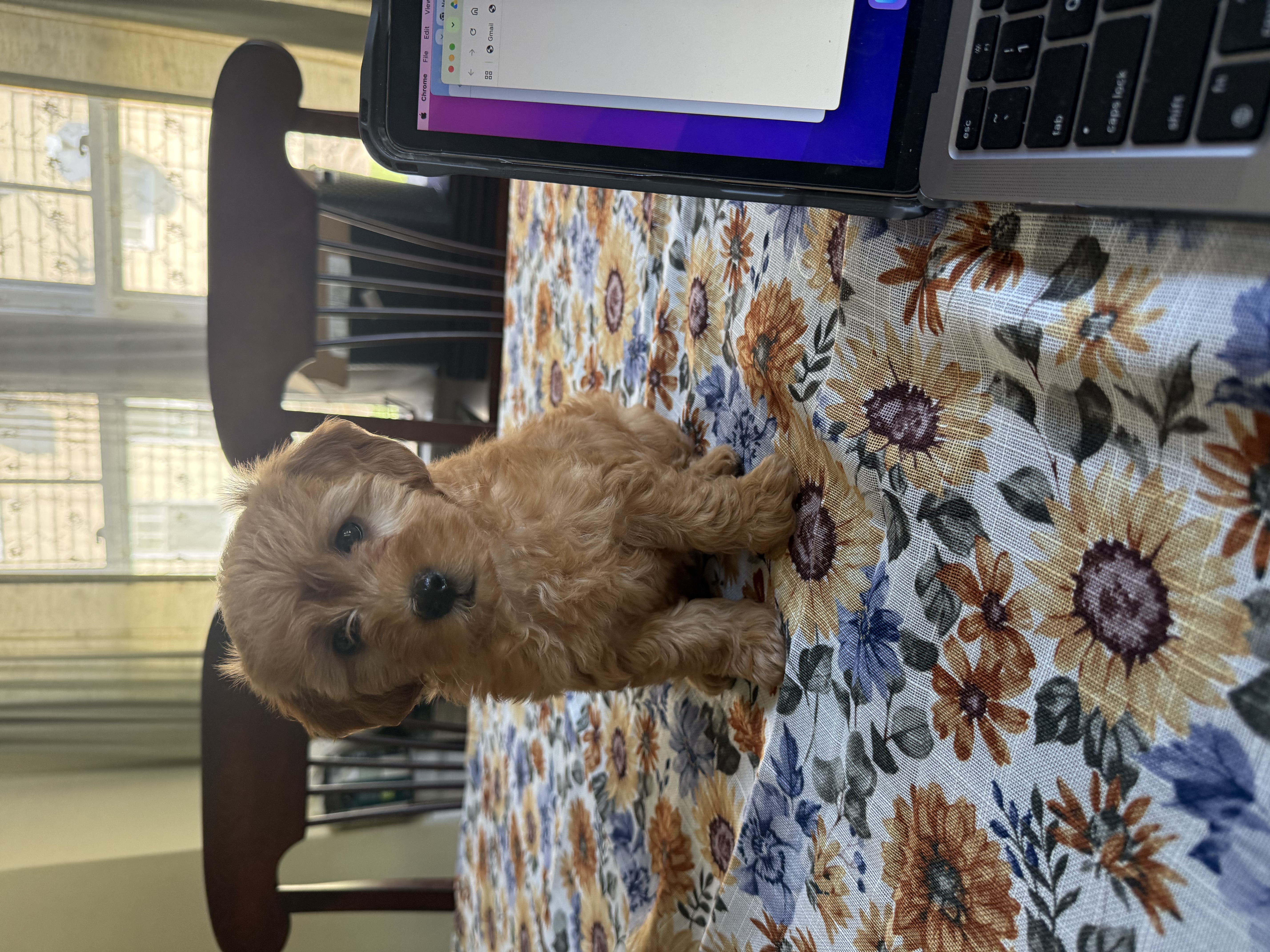 Photo Review Submission from Jane Dowd