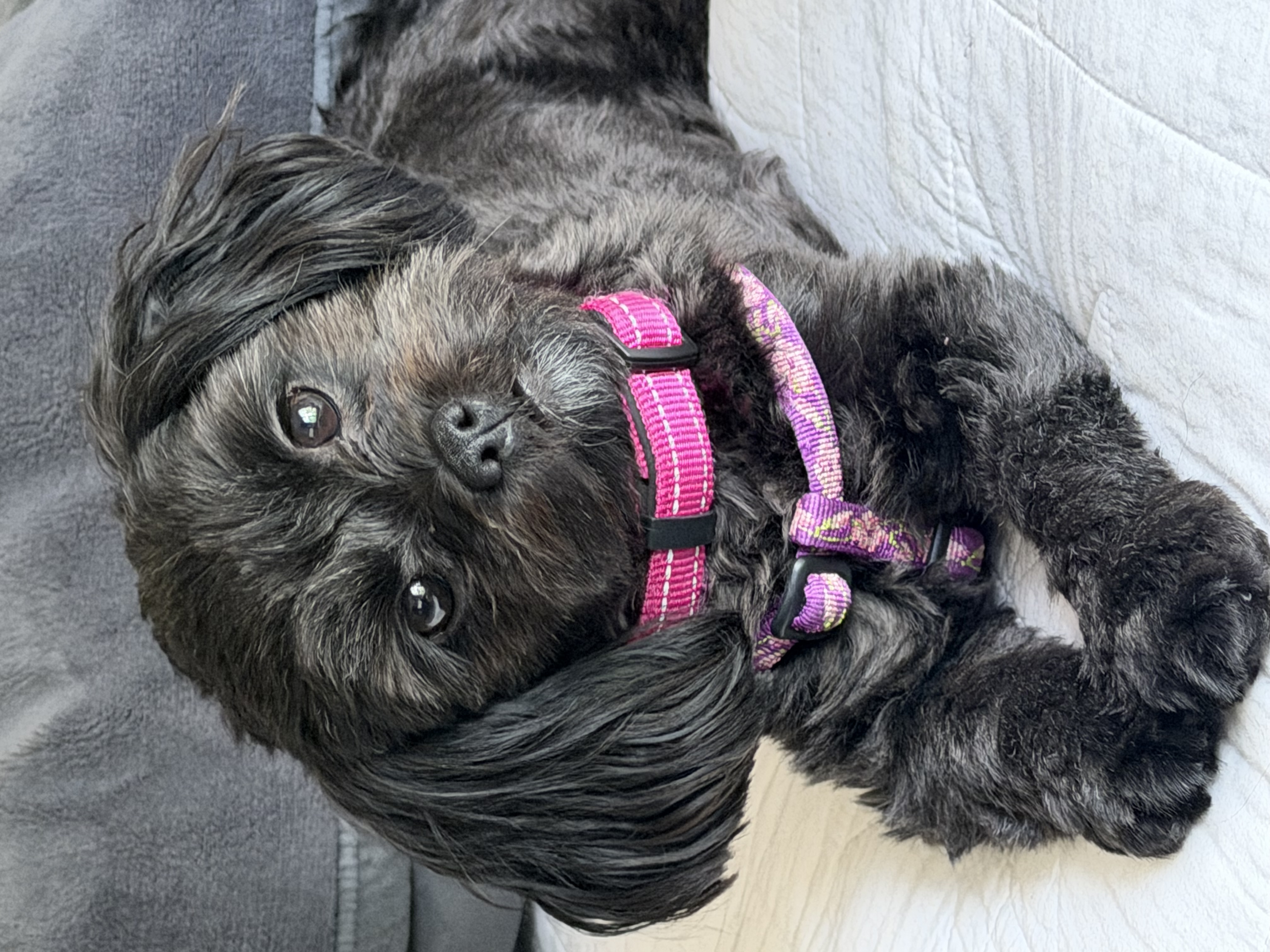 Photo Review Submission from Cindy Vesci