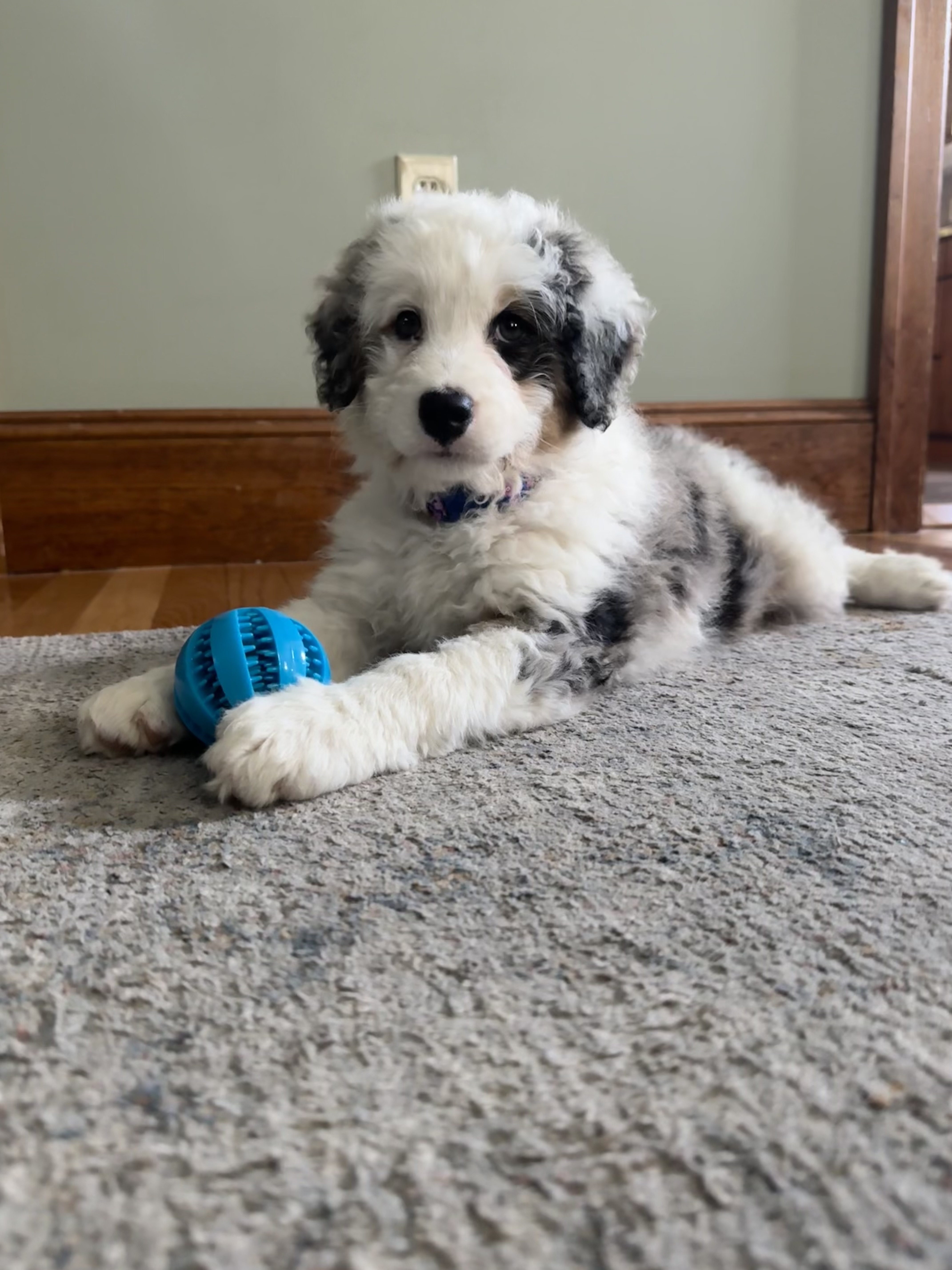 Photo Review Submission from Christine L