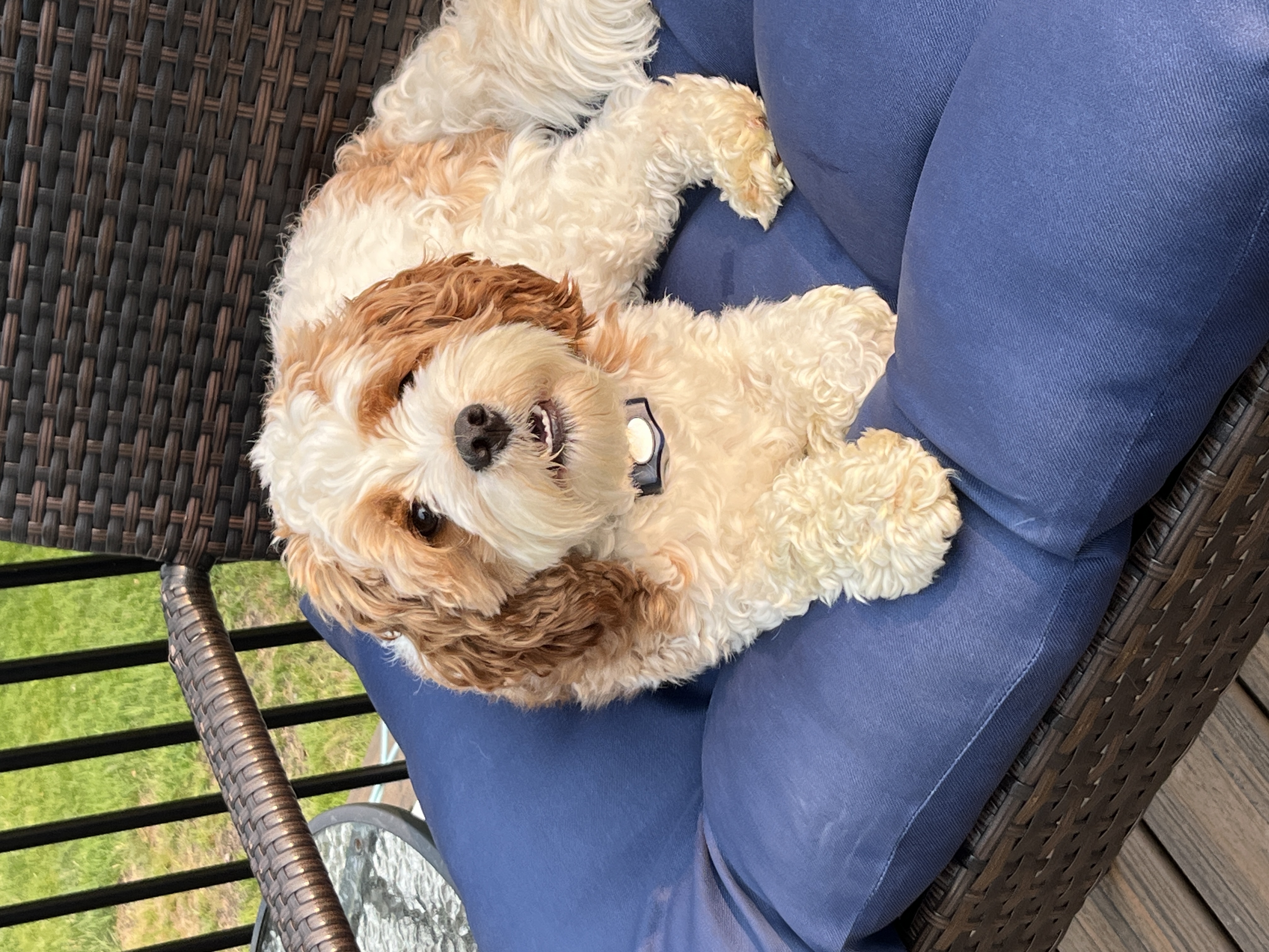 Photo Review Submission from Patty Sawyer