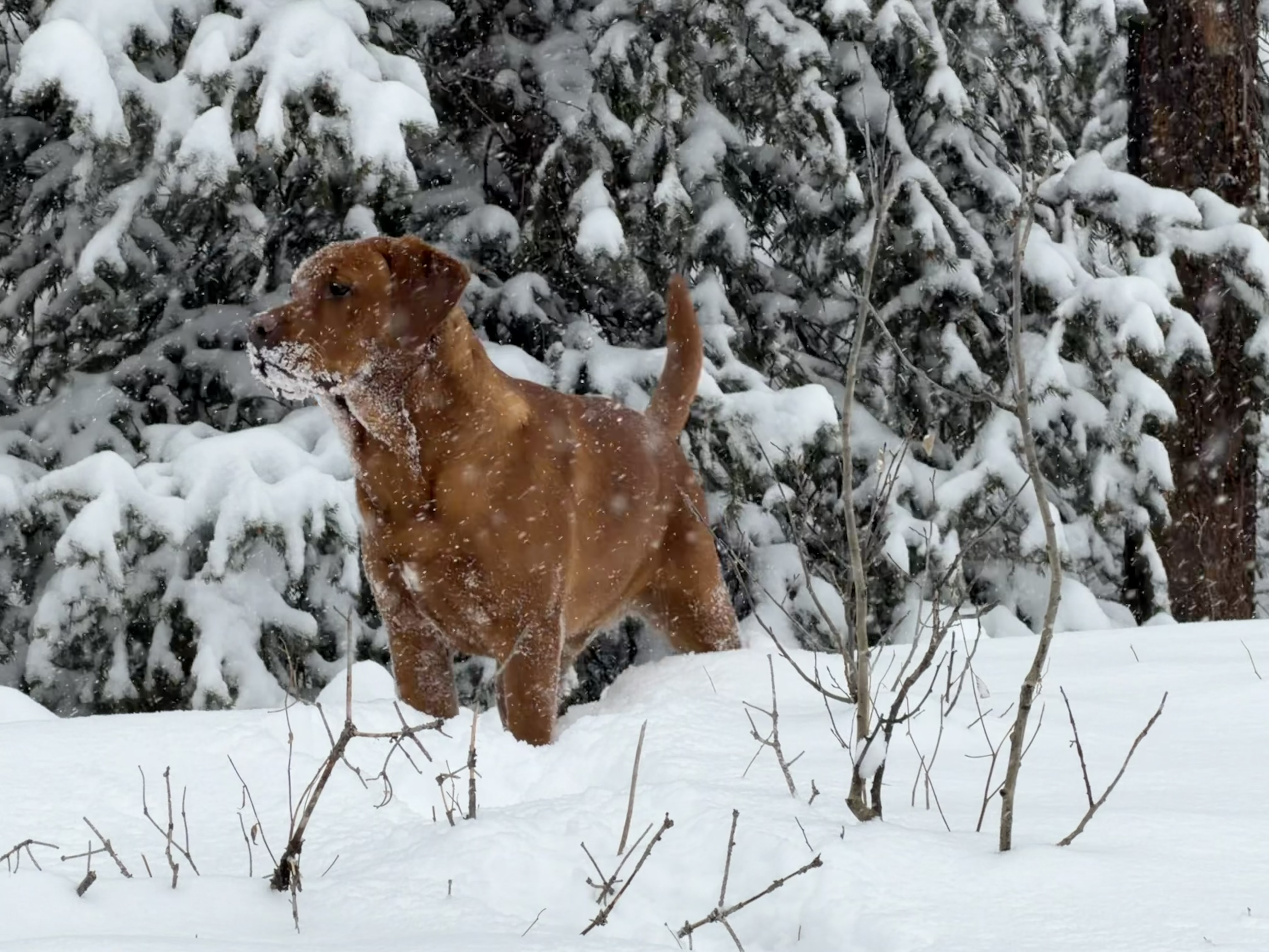 Photo Review Submission from Chandler Long