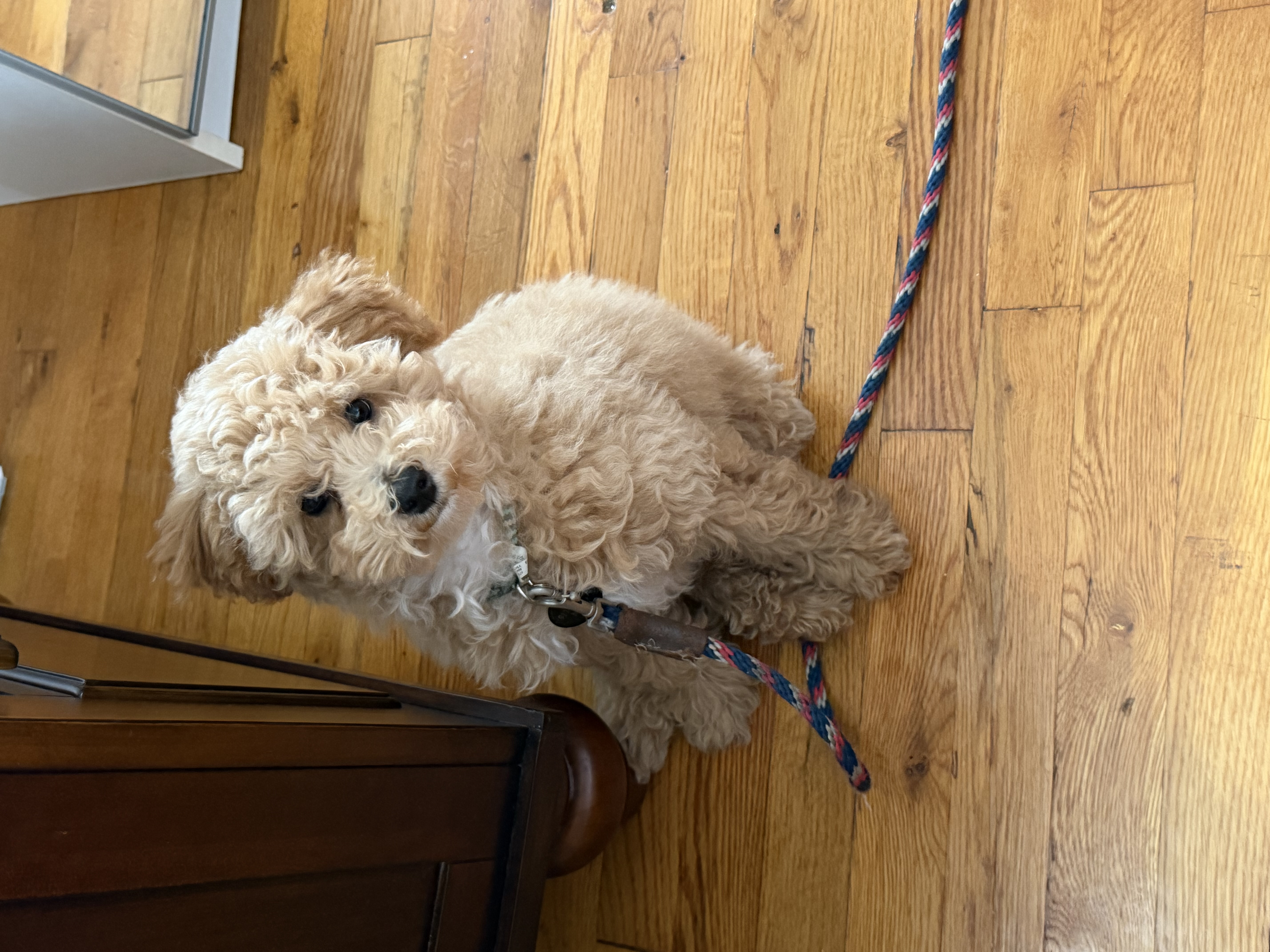 Photo Review Submission from Maria Arsenis