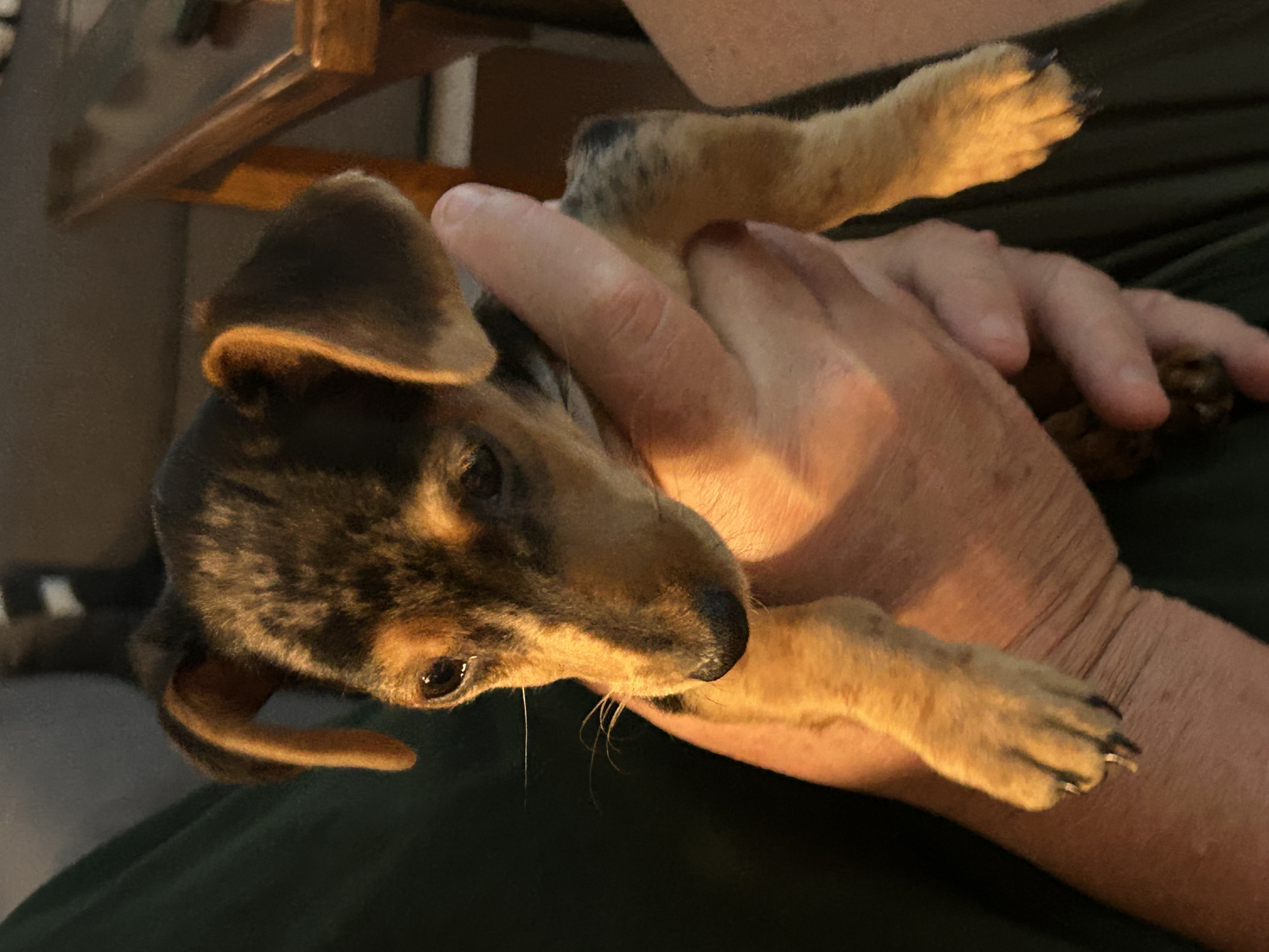 Photo Review Submission from Linda McDevitt