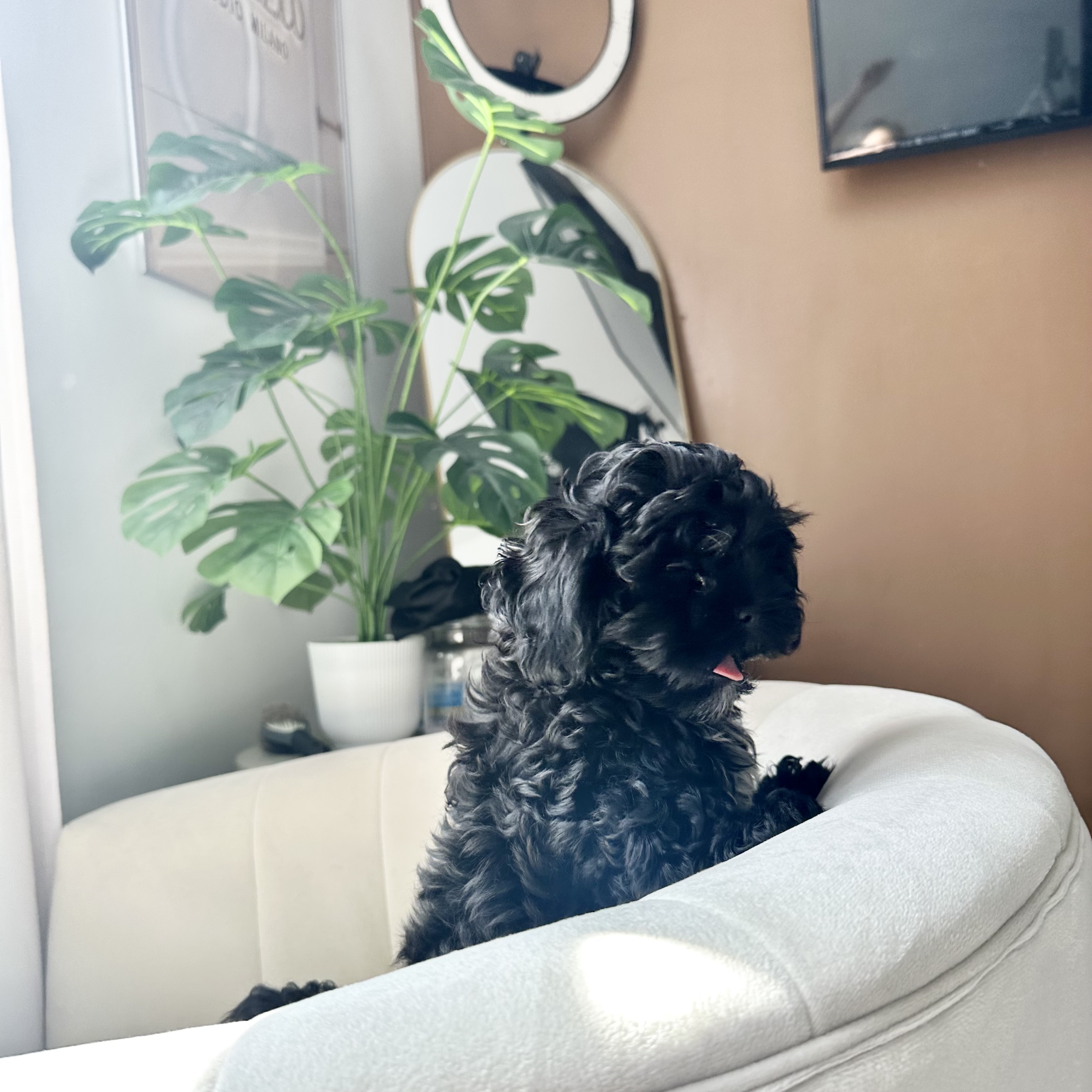 Photo Review Submission from Marie C