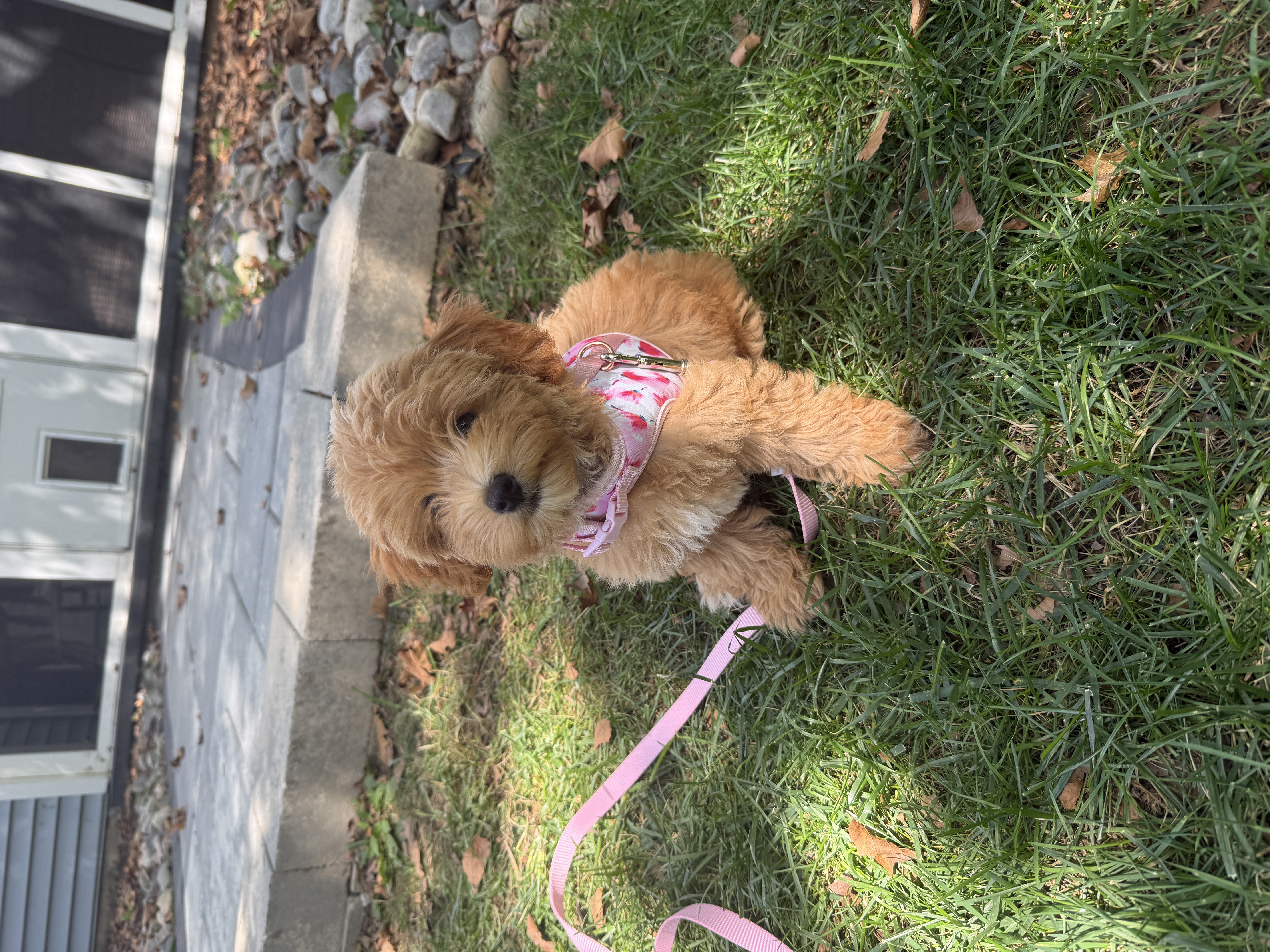 Photo Review Submission from Kelly D