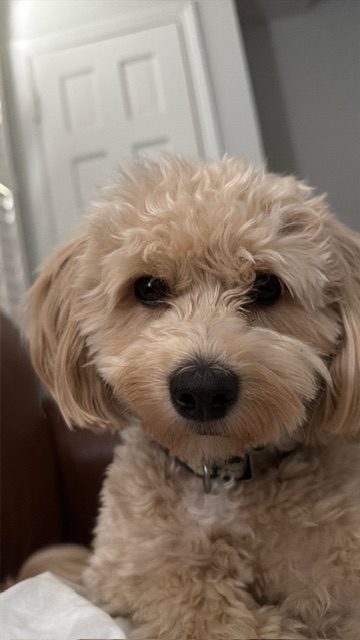Photo Review Submission from Betsy B