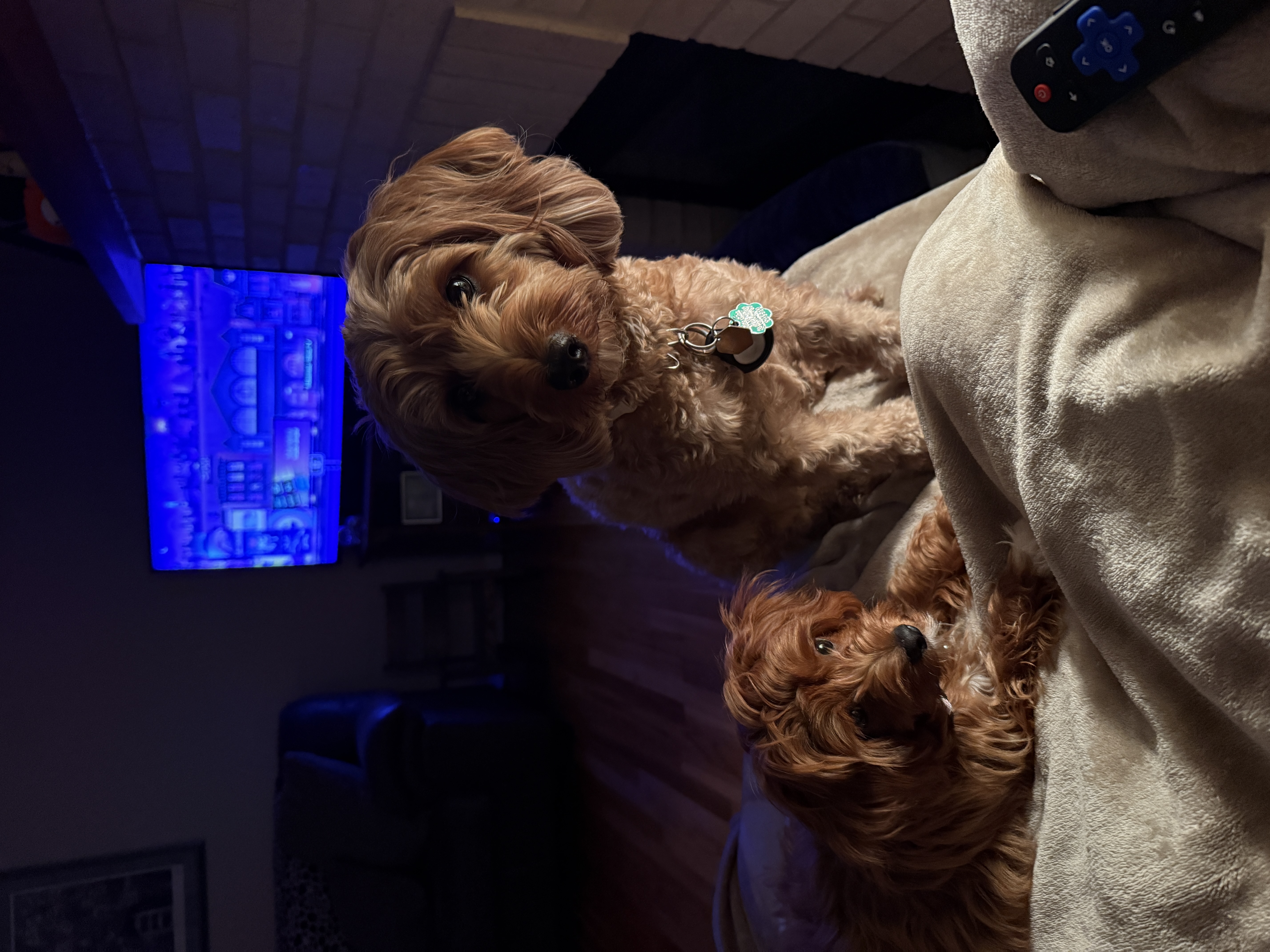 Photo Review Submission from Gretchen Gleason