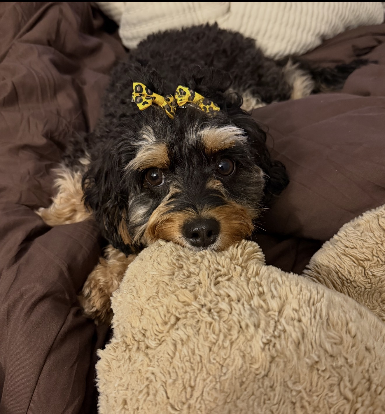 Photo Review Submission from Kiah Gillespie