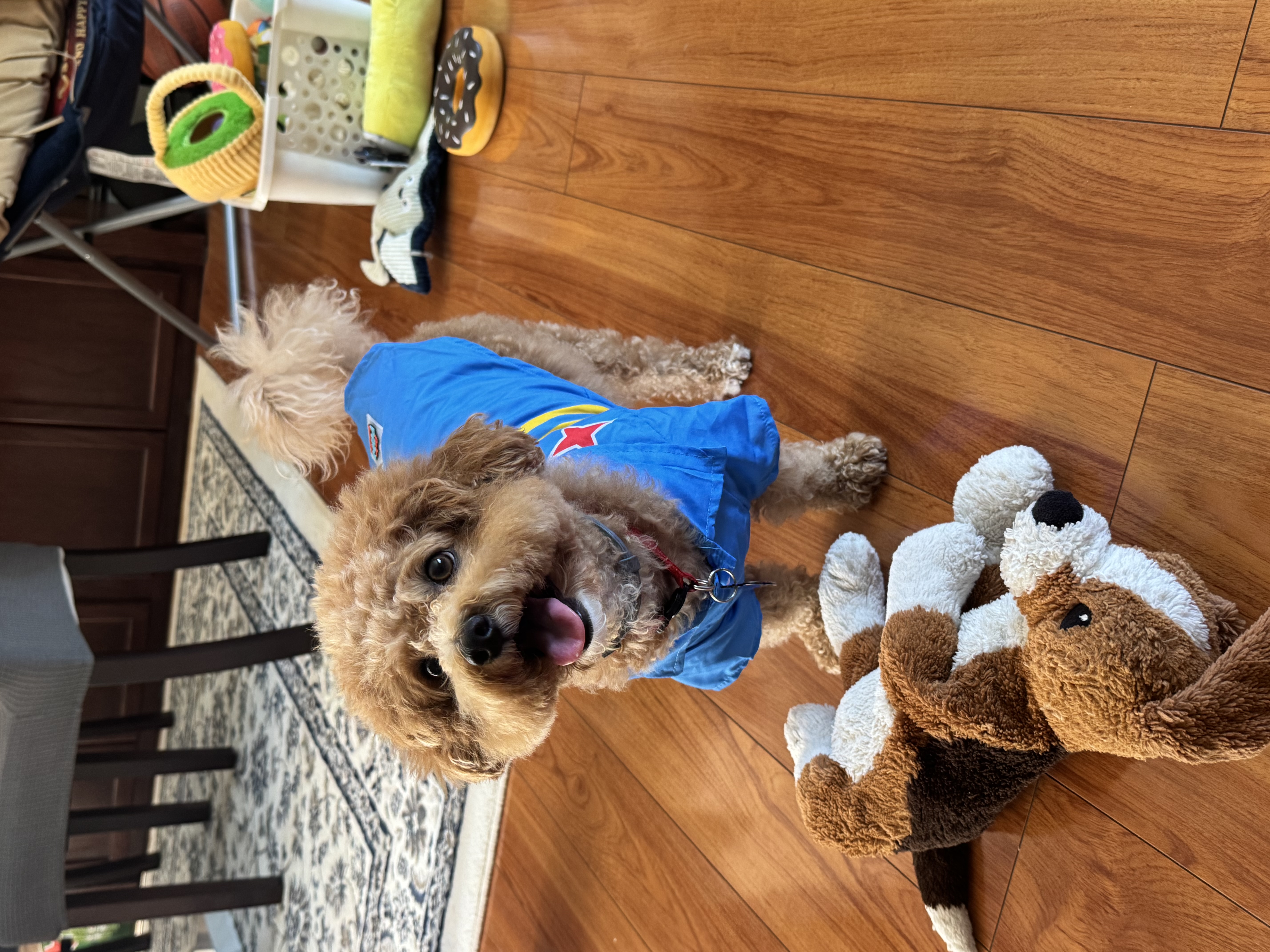 Photo Review Submission from Julie Le